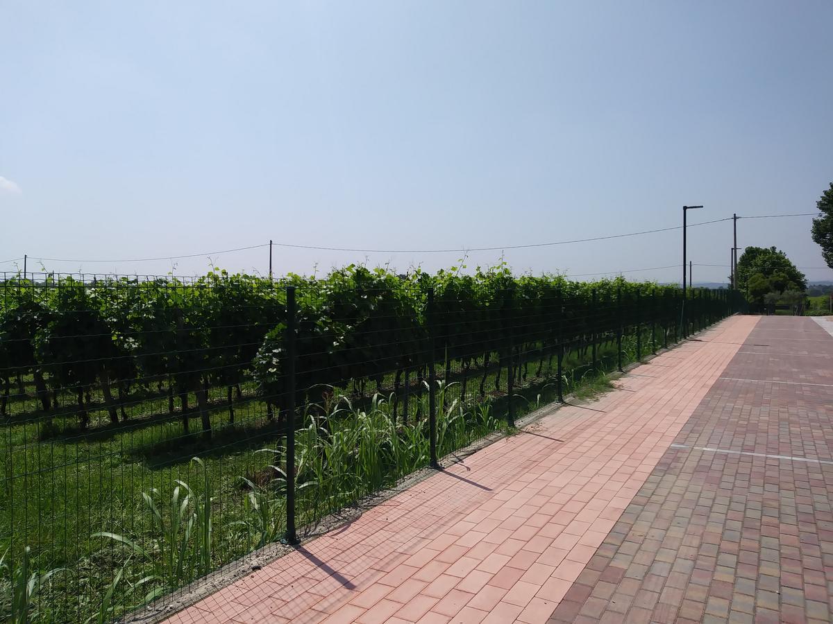 Bed and Breakfast Stella Del Garda Lazise Exterior foto